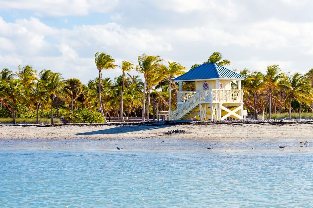 Daytime view of Crandon Park