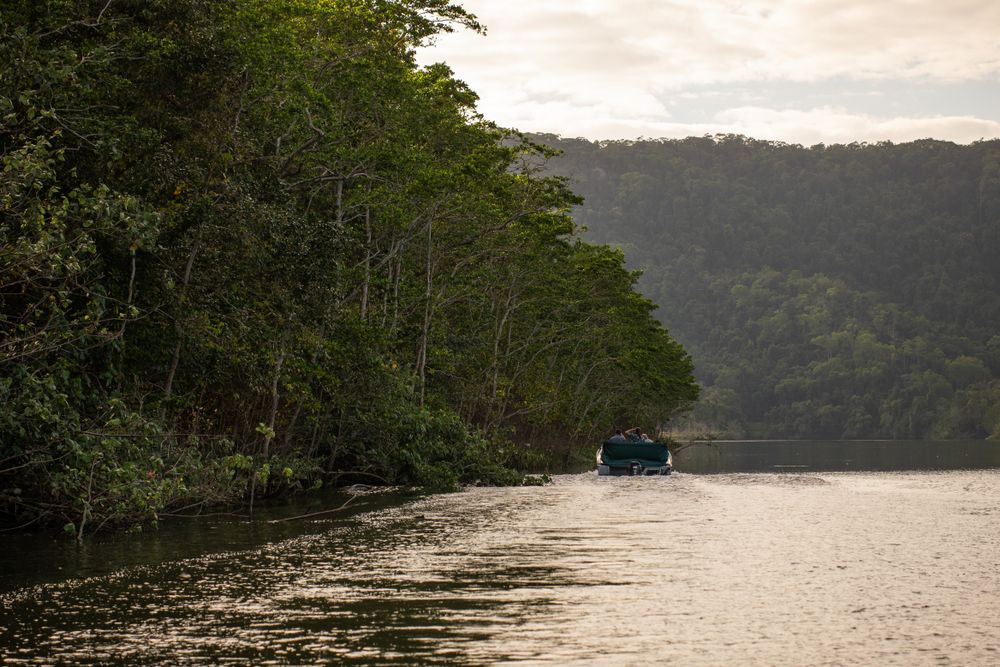 Cruising in Daintree