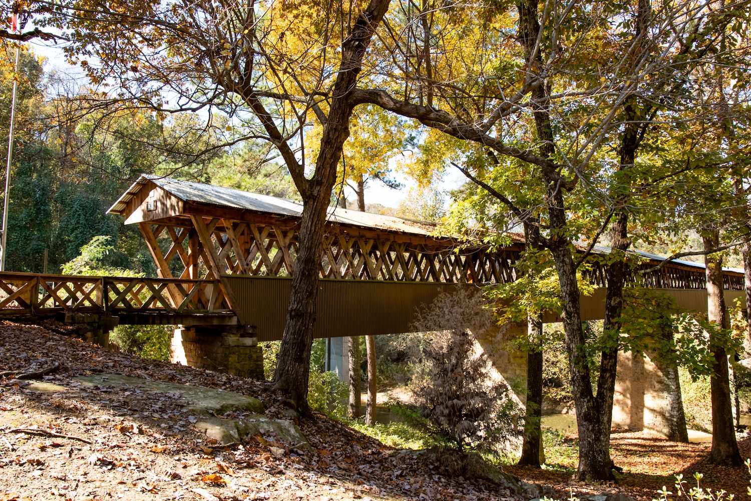 Carts In Cullman at Joann Lockridge blog