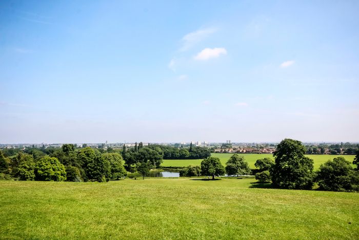 Cusworth Park Tree Trail