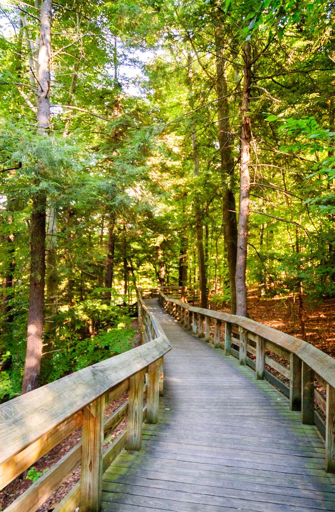 Boardwalk at Cuyahoga Valley National Park