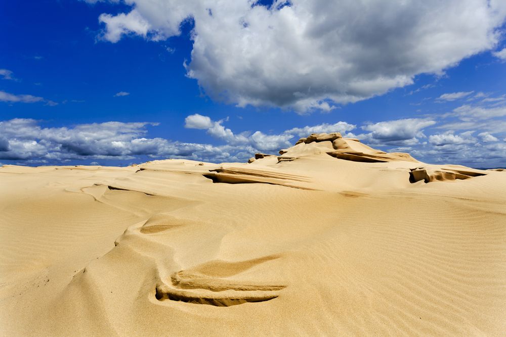 Dunes on Stockton Beach