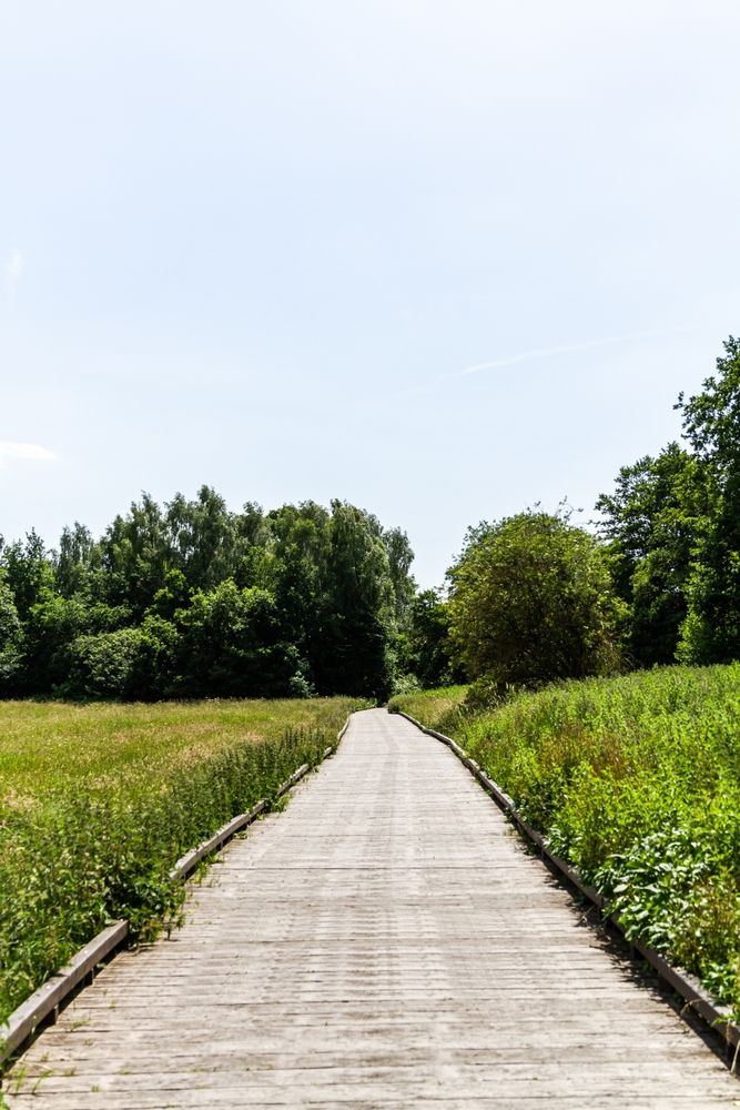 Beautiful narrow paved path at Darley Park