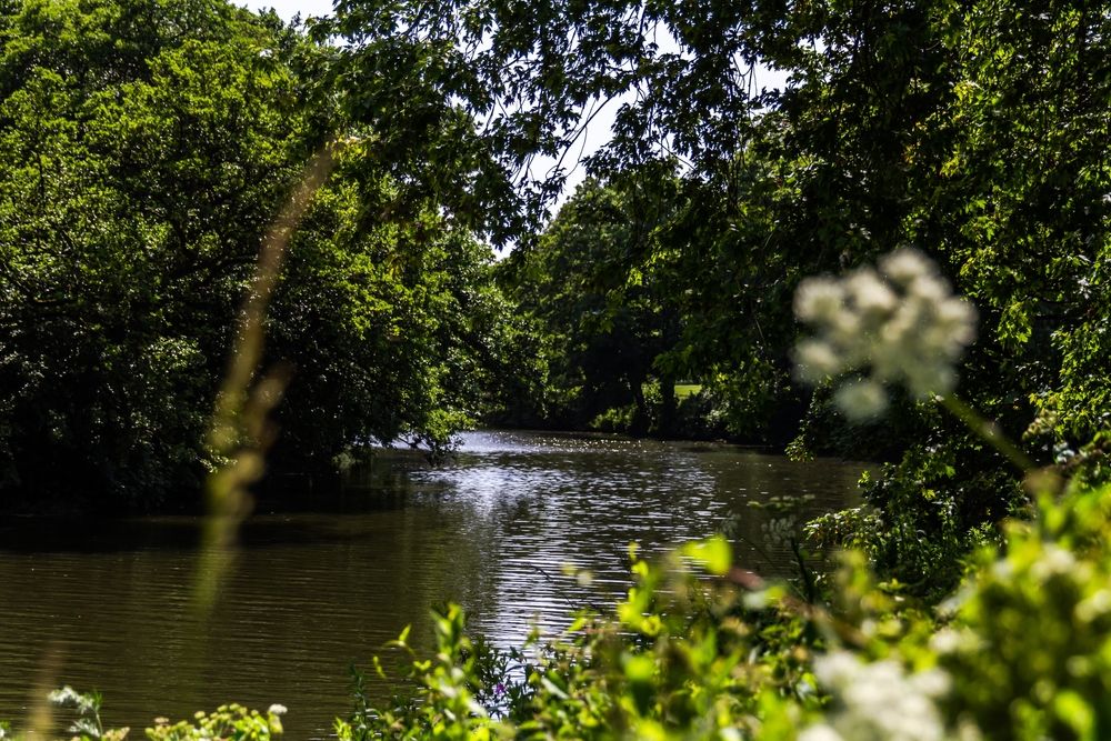 River Derwent passing through Darley Park
