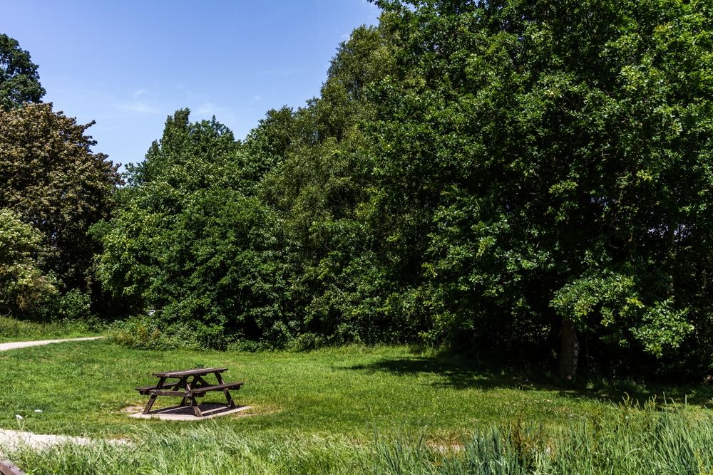 Picnic area at Darley Park