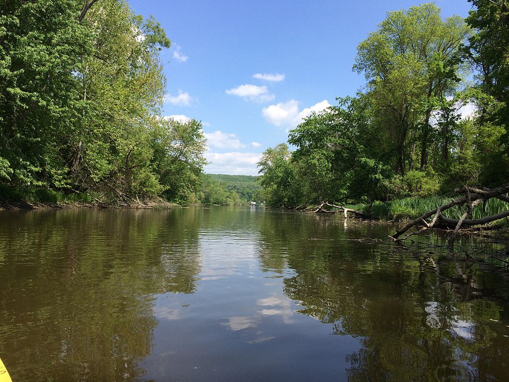 River flowing at Dart Island State Park