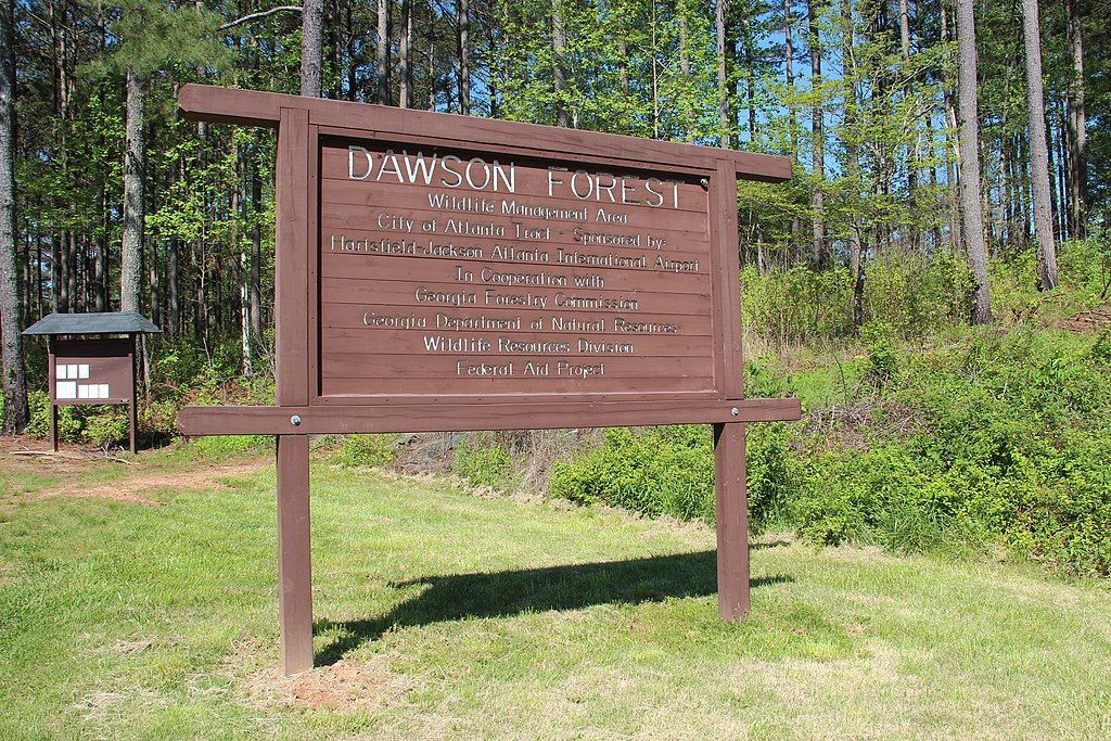 A Sign in Dawson Forest