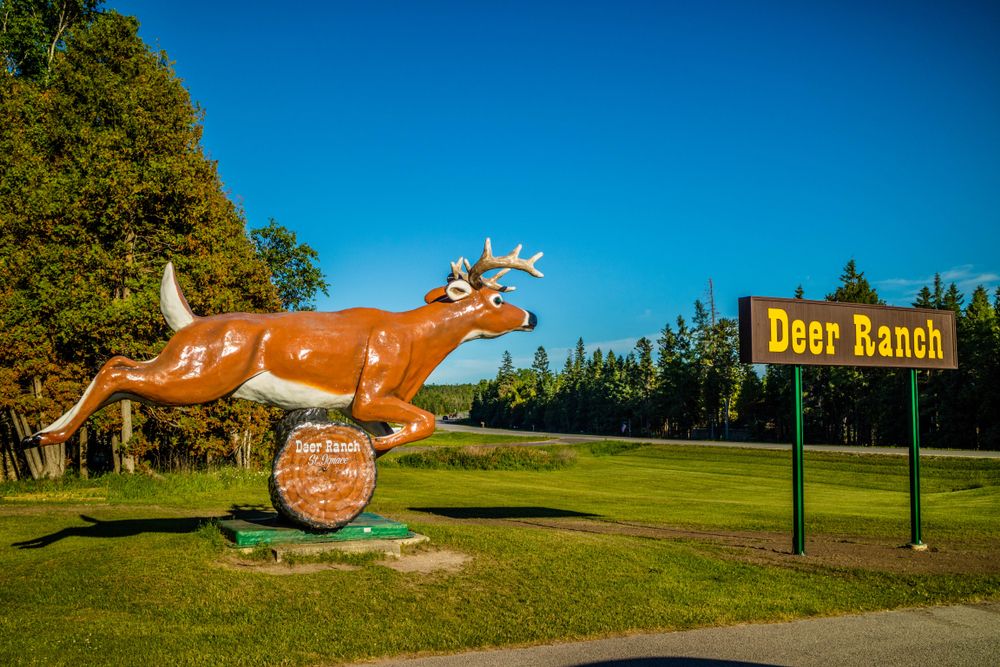 Deer Ranch St.Ignace