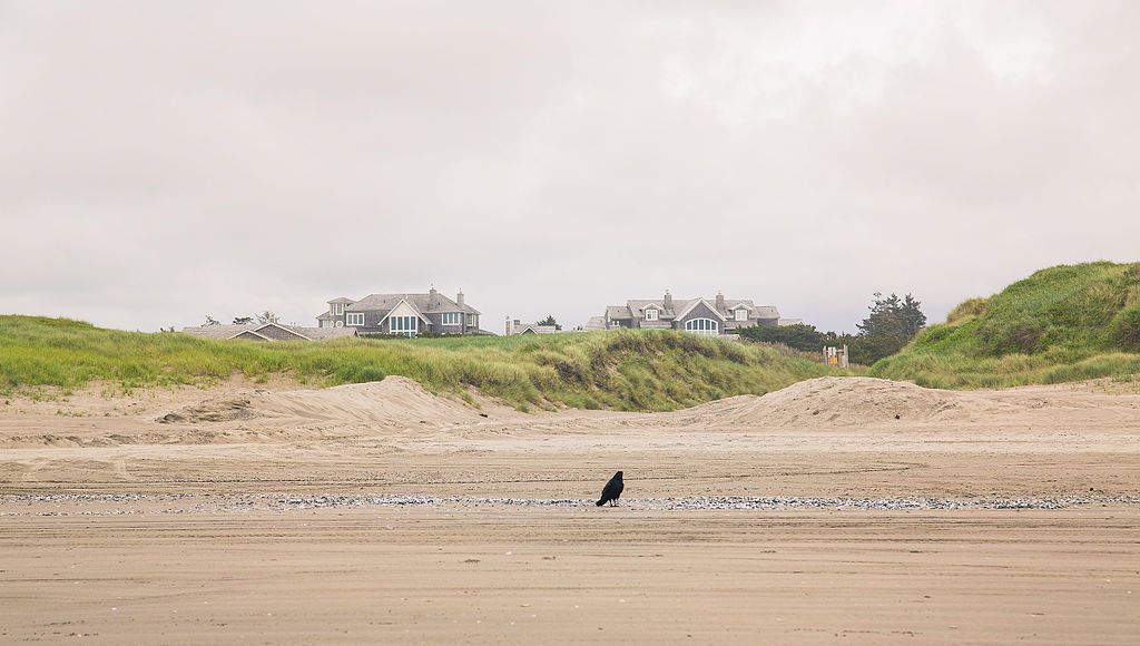 Sandy shore at Del Rey Beach