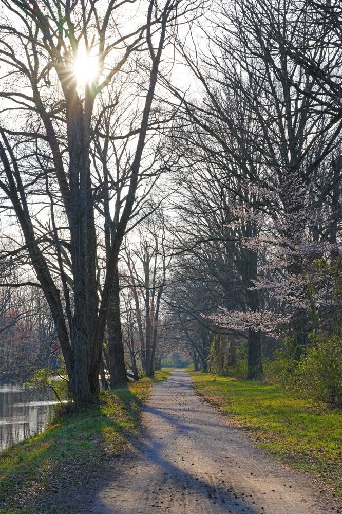 Scenic Riverwalk path at Delaware and Raritan Canal State Park