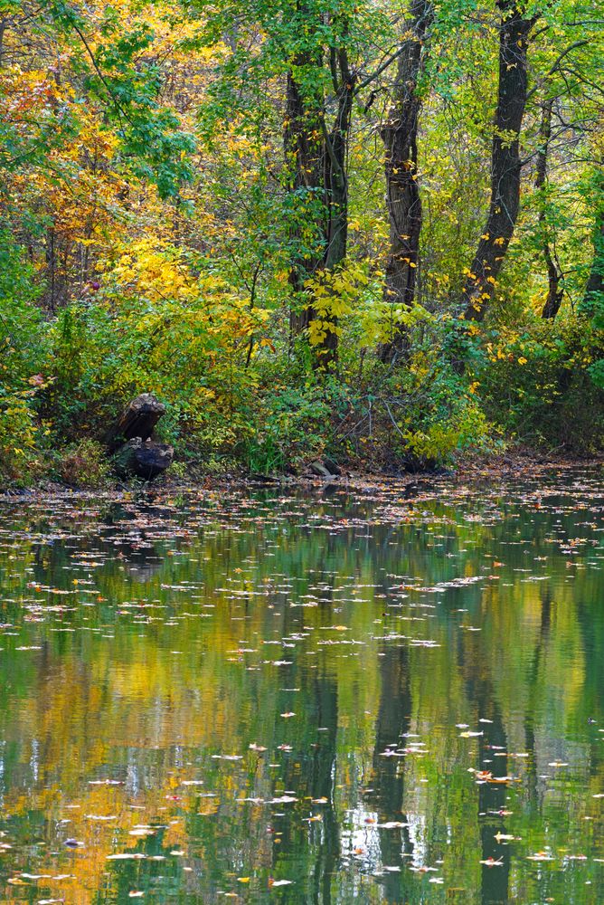 Scenic view of Delaware and Raritan Canal State Park during fall