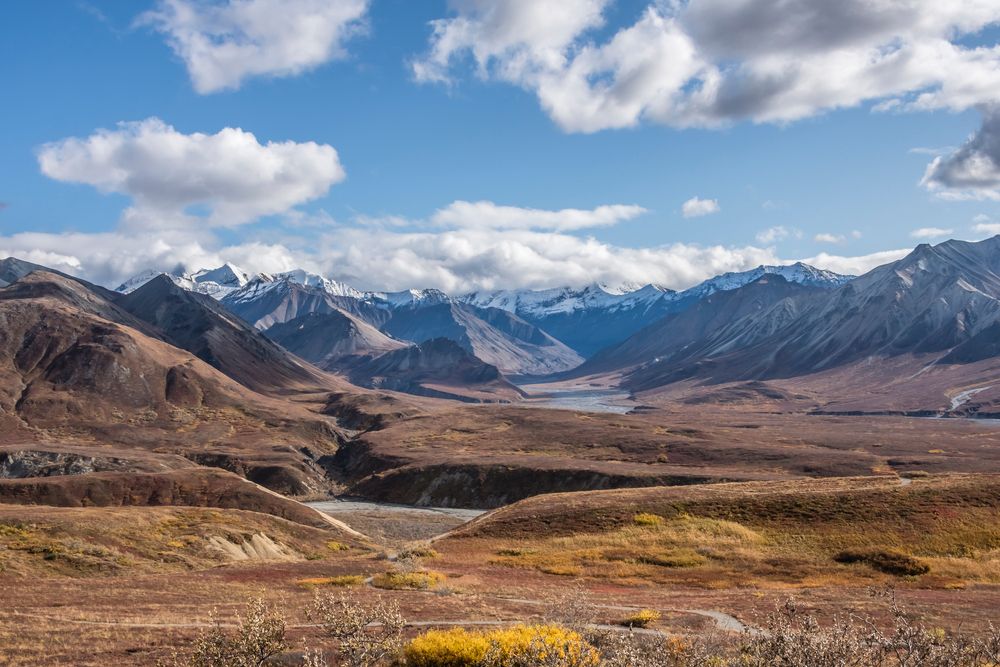 Denali National Park