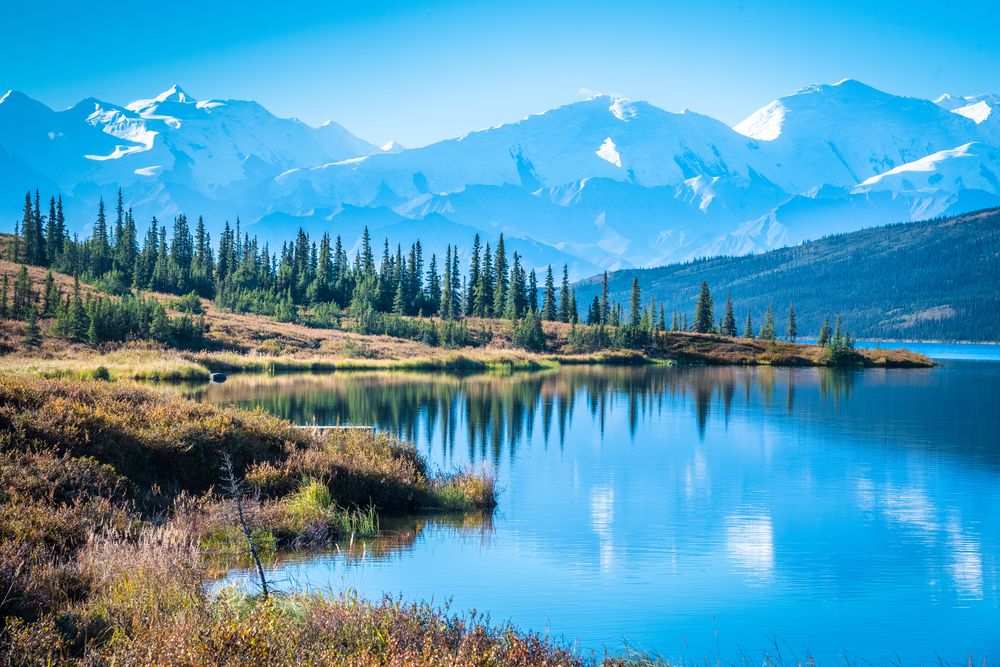 Scenic view of Denali National Park