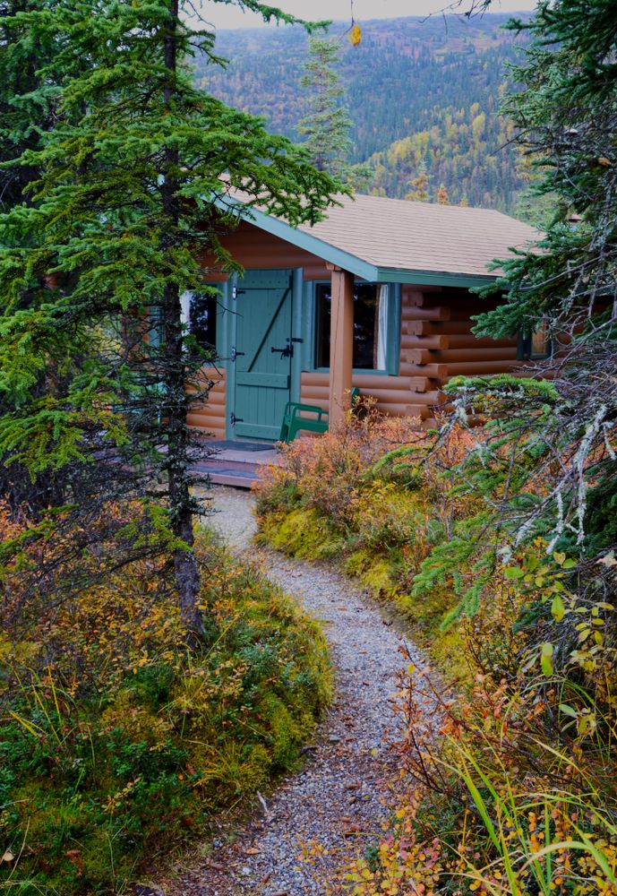 Log cabin at Denali National Park