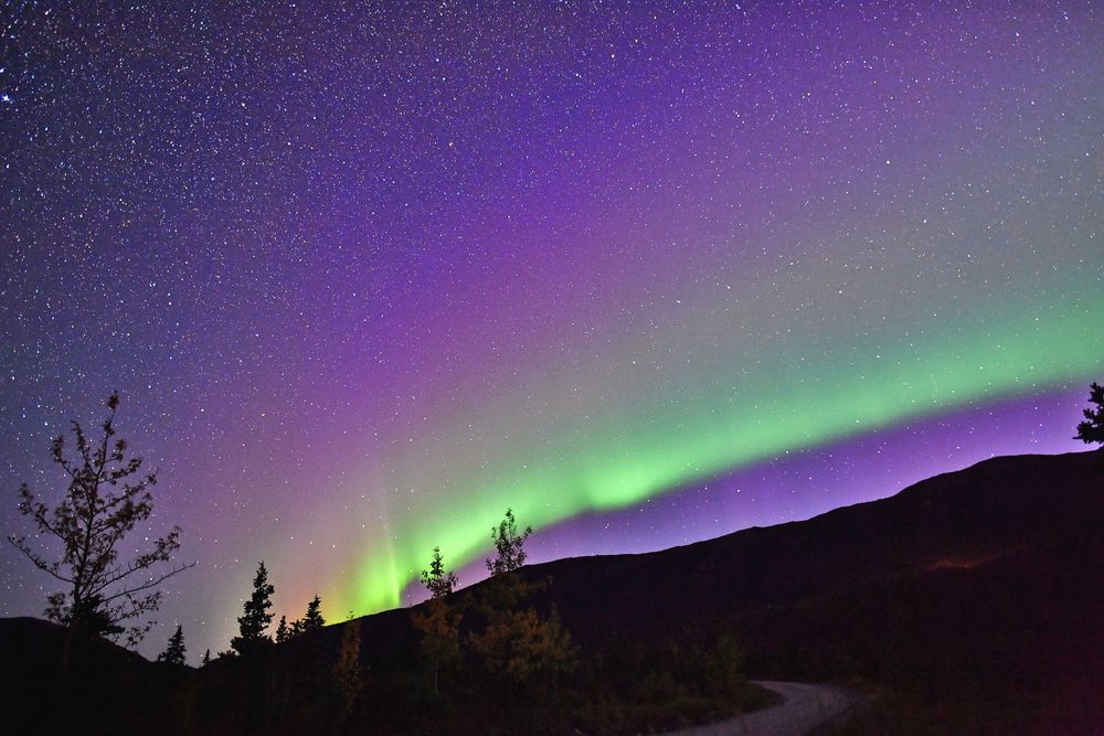 Scenic view of Denali's Northern Lights