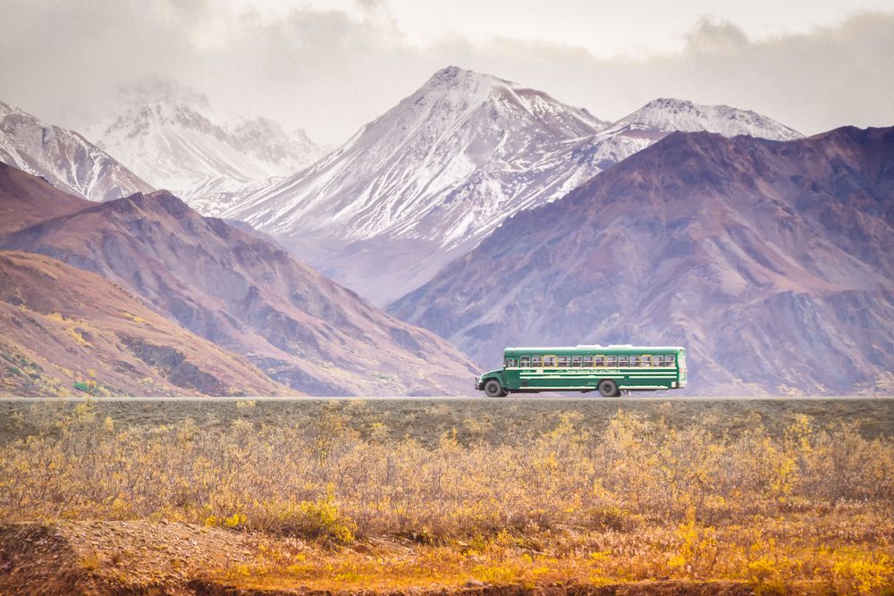 Tour bus along Denali