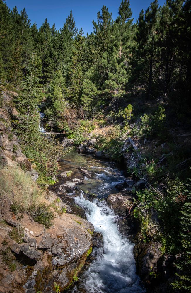 Creek running through Deschutes National Forest