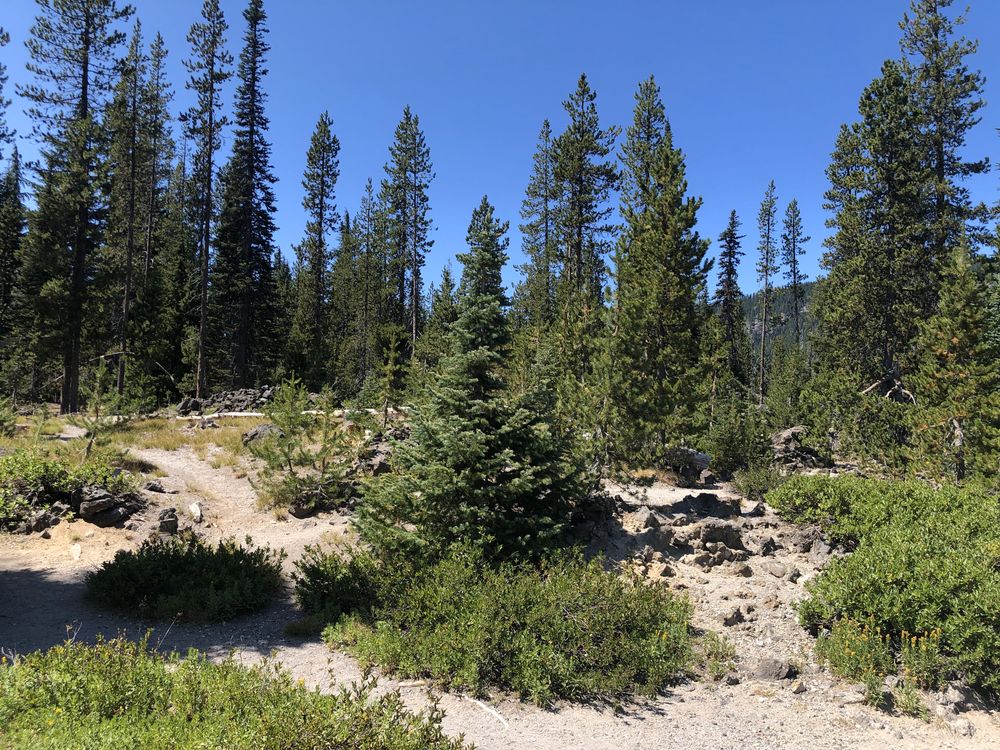 Deschutes National Forest
