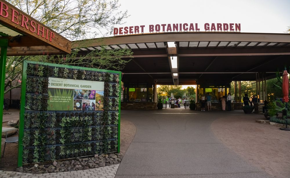 Outside view of Desert Botanical Garden