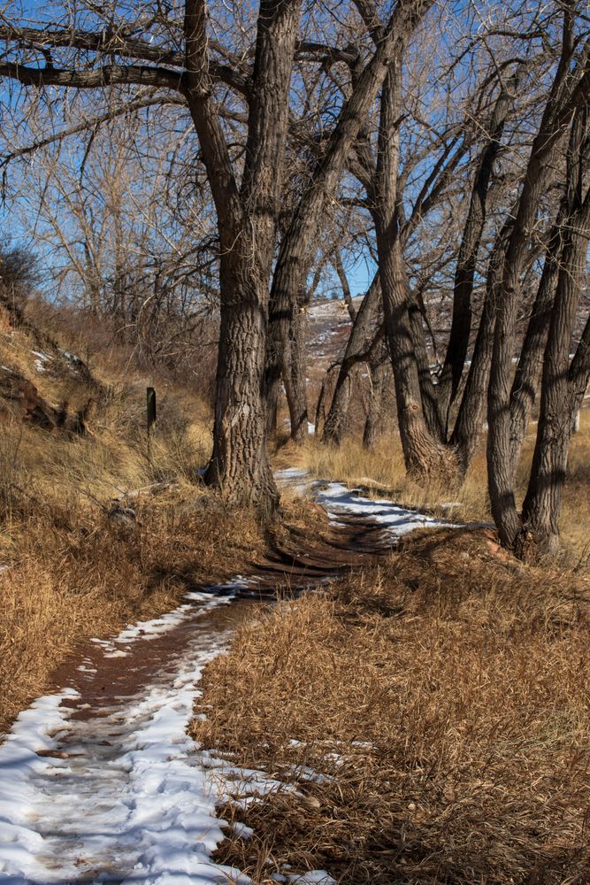 Narrow pathway covered with snow at Devil's Backbone Nature Trail