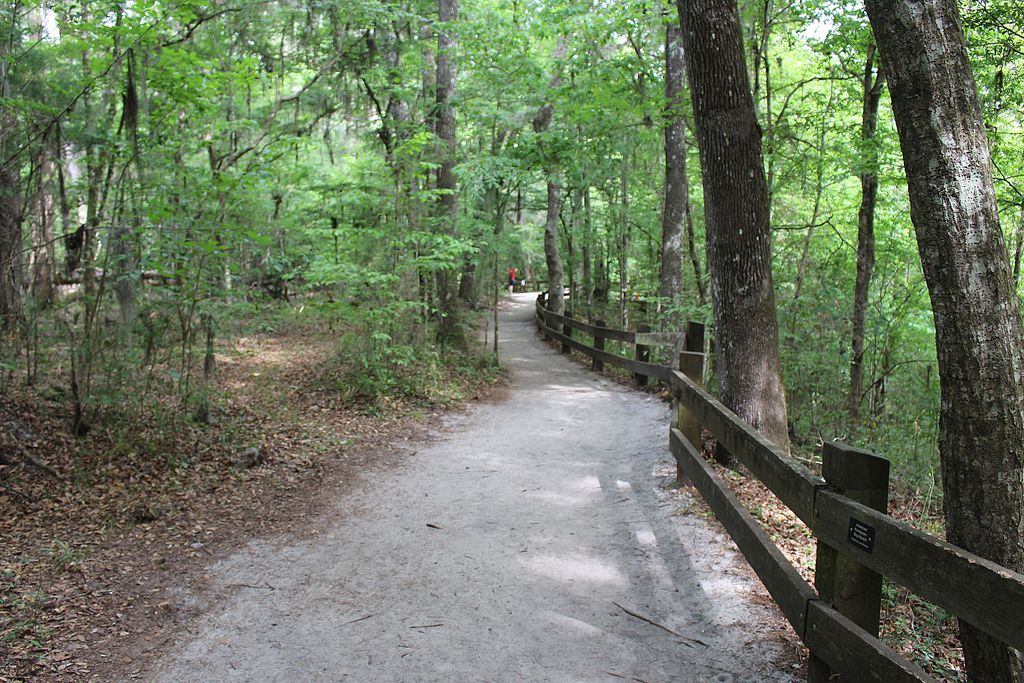 Narrow paved fenced path at Devil's Millhopper Geological State Park