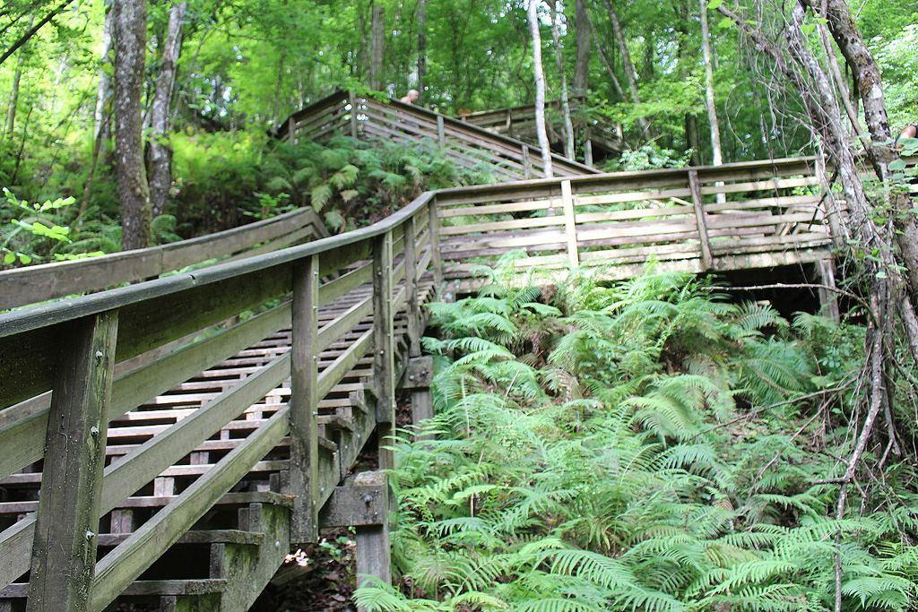 Wooden stairs at Devil's Millhopper Geological State Park