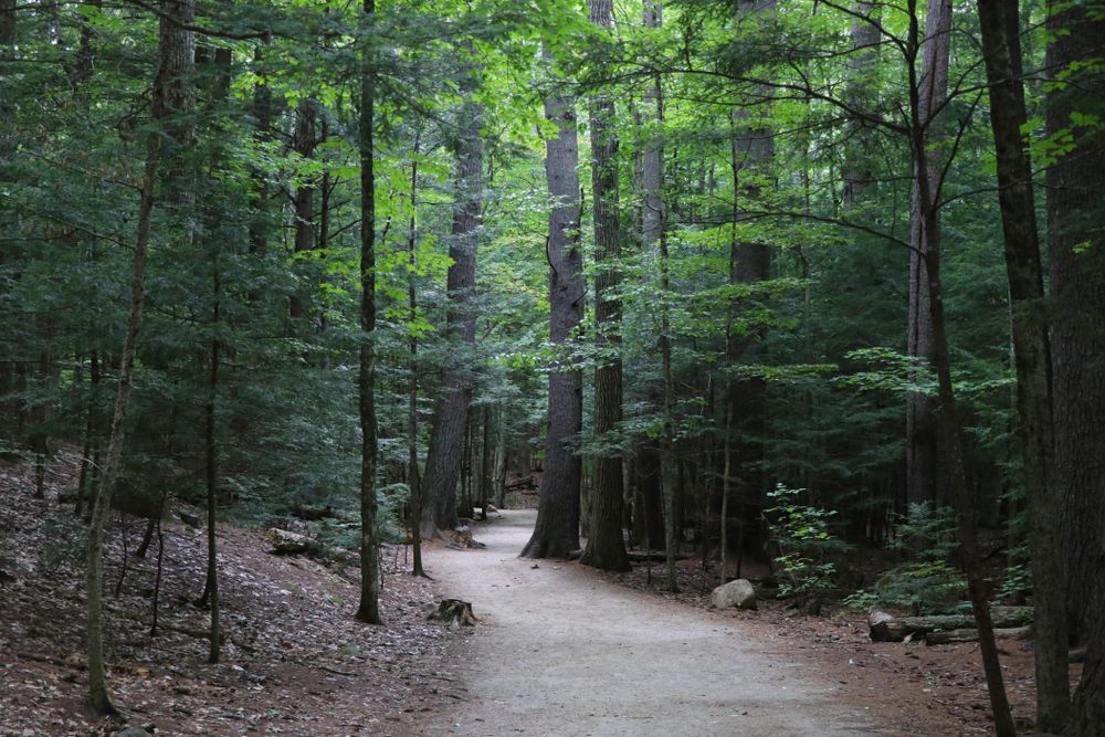 Nature trail at Diana’s Baths