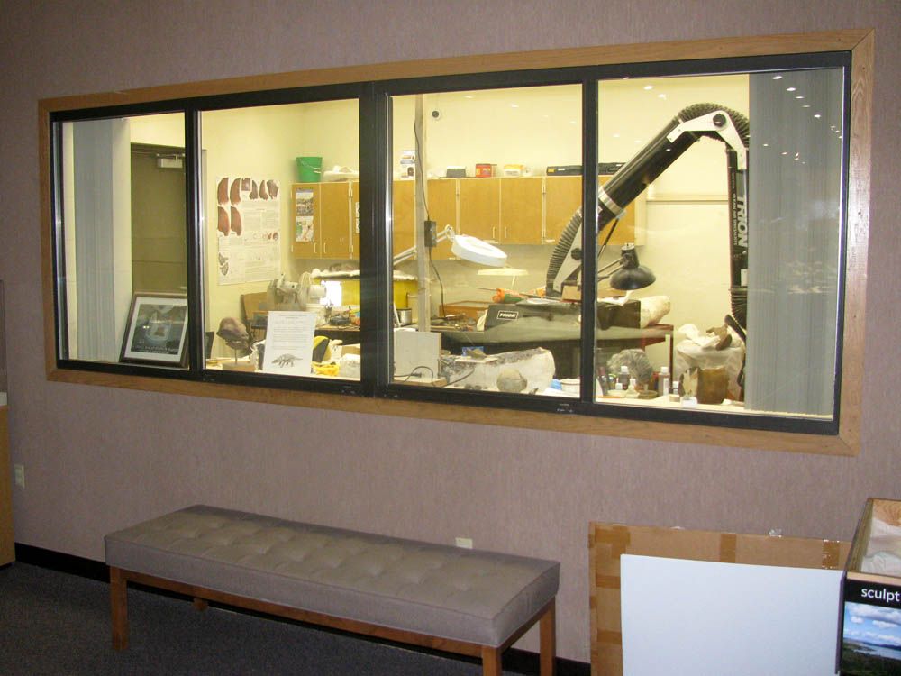 Dinosaur Laboratory at Dickinson Museum Center