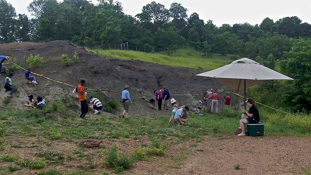 Visitors hunting for fossils at Dinosaur Park