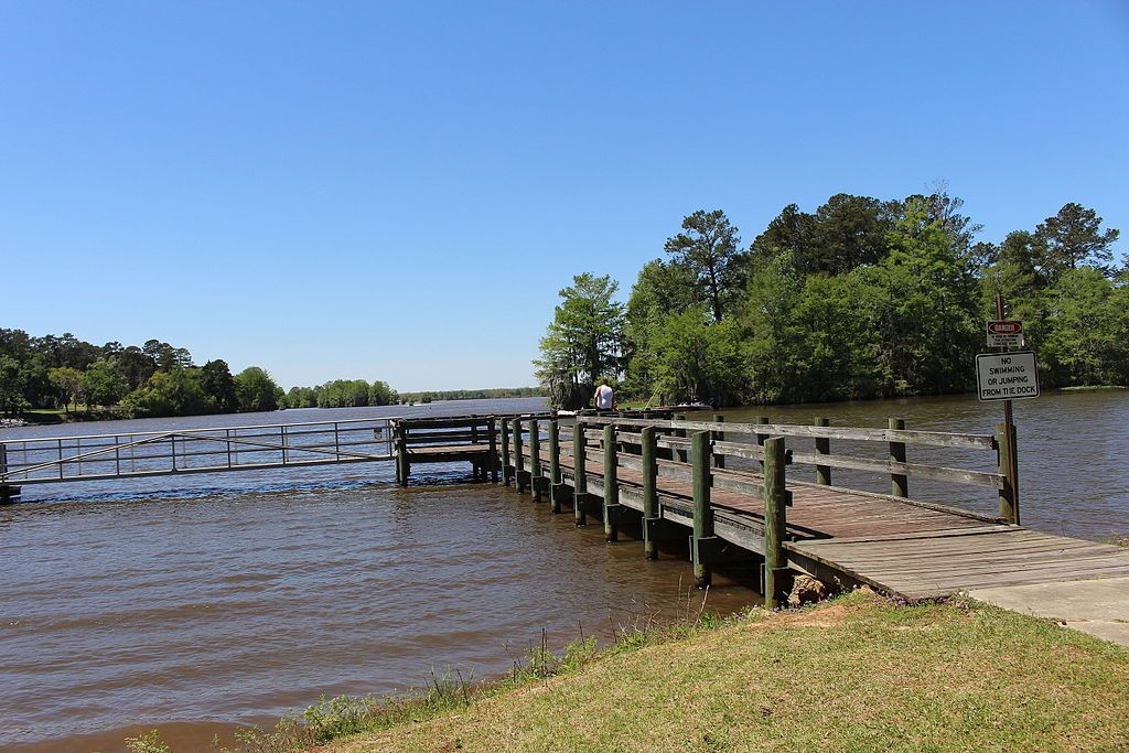 View of Georgia Veterans State Park