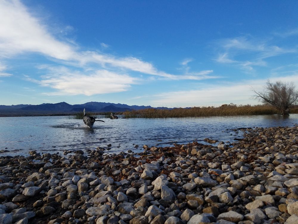 The waters of Dog Beach Park