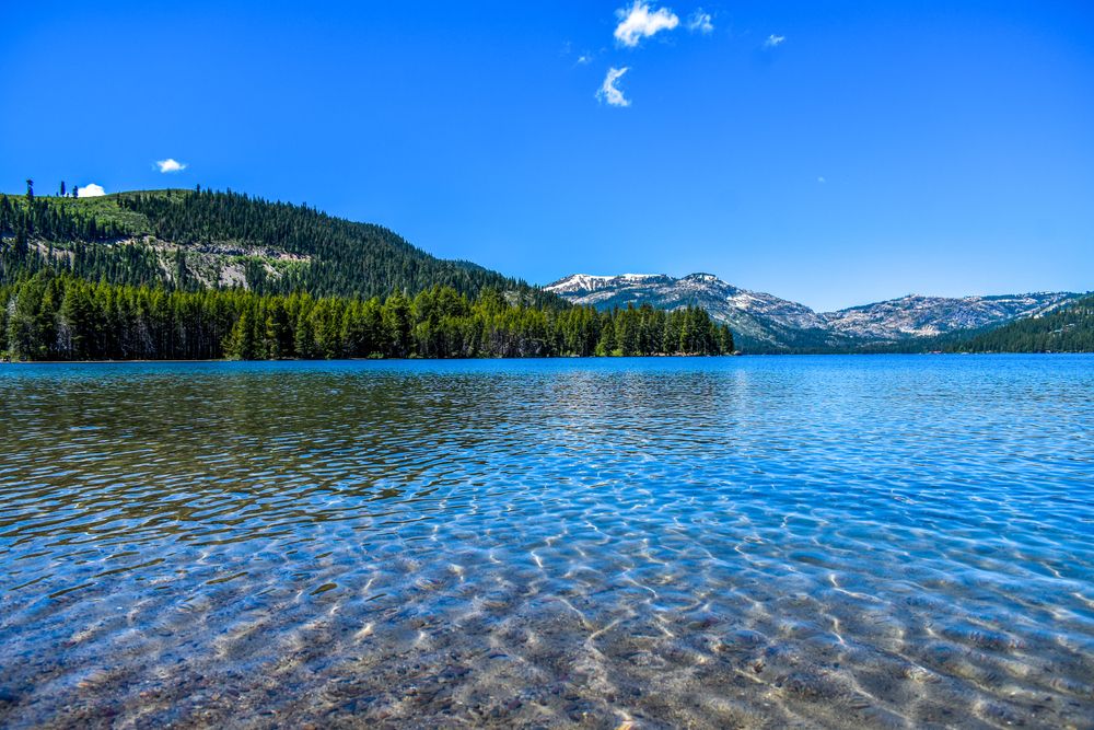 The clean waters of Donner Lake