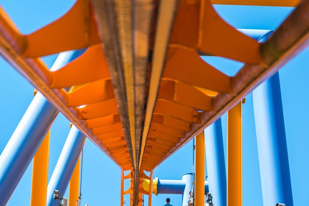 Colorful talon at Dorney Park and Wildwater Kingdom
