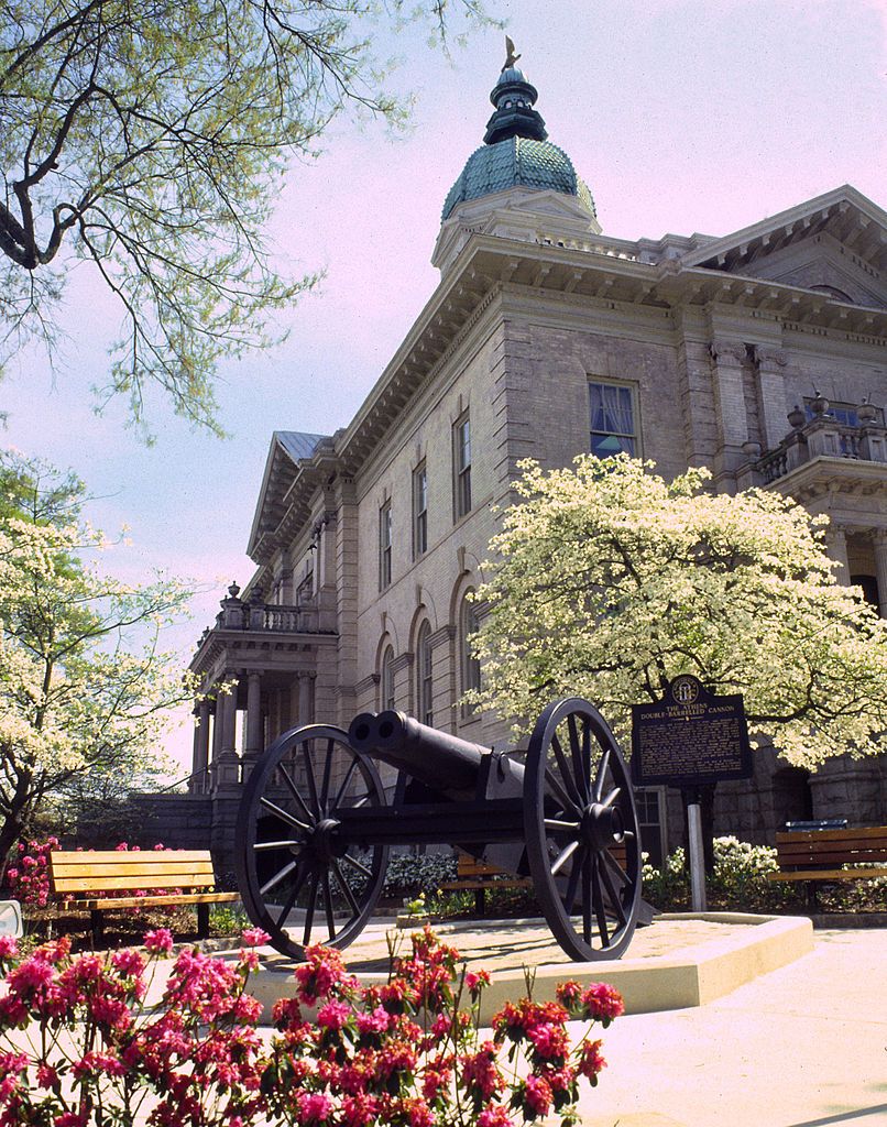 Double-Barreled Cannon with flowers and beautiful building in the background