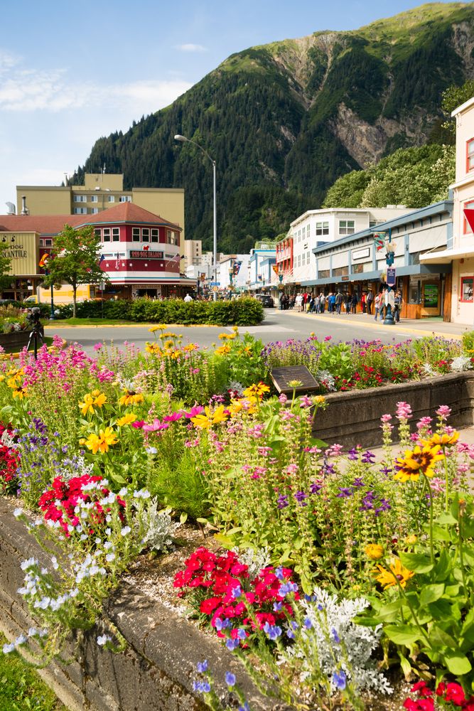 Colorful flowers in Downtown Juneau