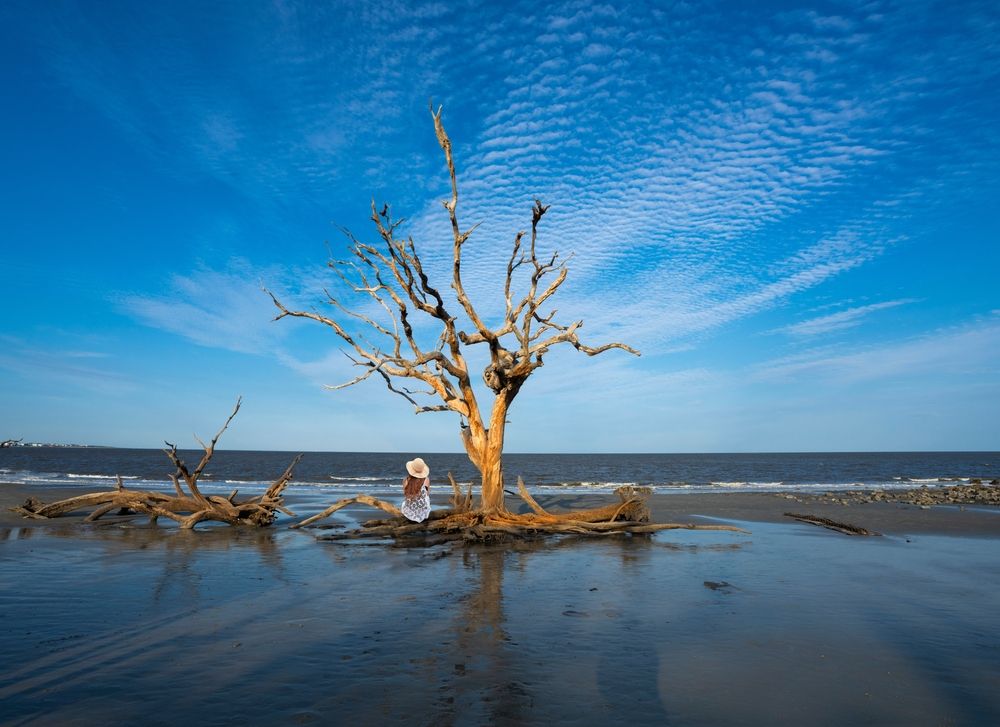 A person admiring Driftwood Beach