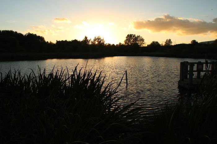 Vibrant sunset at Drinkfield Marsh Nature Reserve
