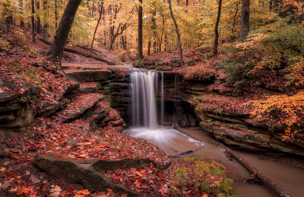 Scenic view of Dundee Falls during fall