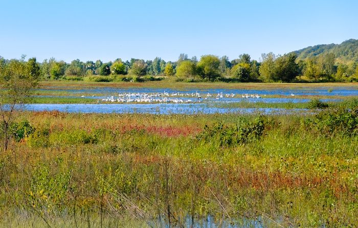Scenic view of Eagle Bluffs Conservation Area