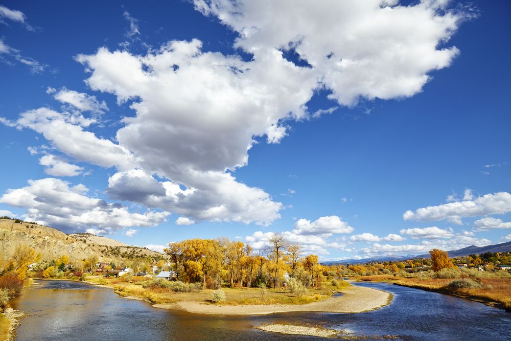 Trees surrounding the Eagle River