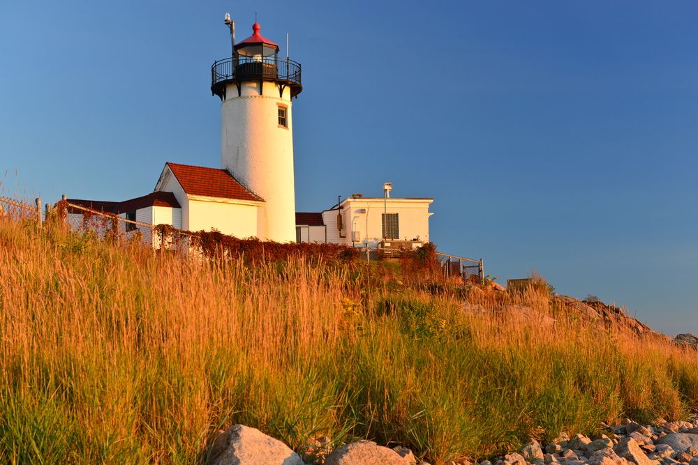 Field of grasses around Eastern point lighthouse