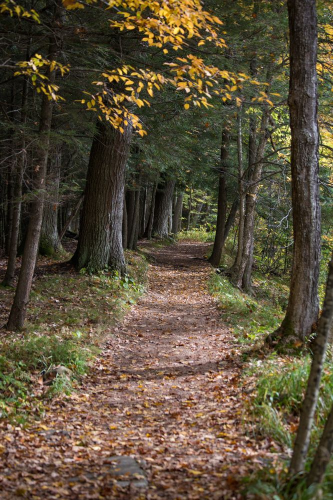 Narrow dusty hiking path at Eau Claire County Park