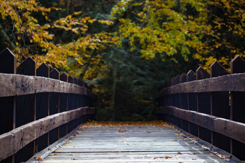 Beautiful wooden bridge covered with autumn leaves at Eau Claire County Park