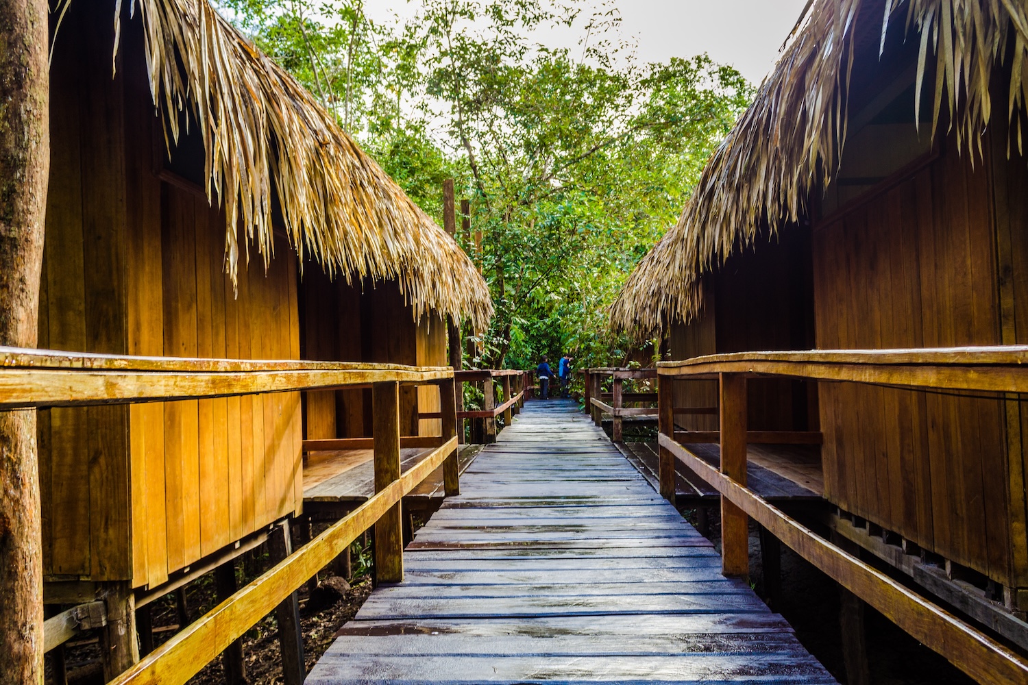Eco-Tourism Initiatives Across South America