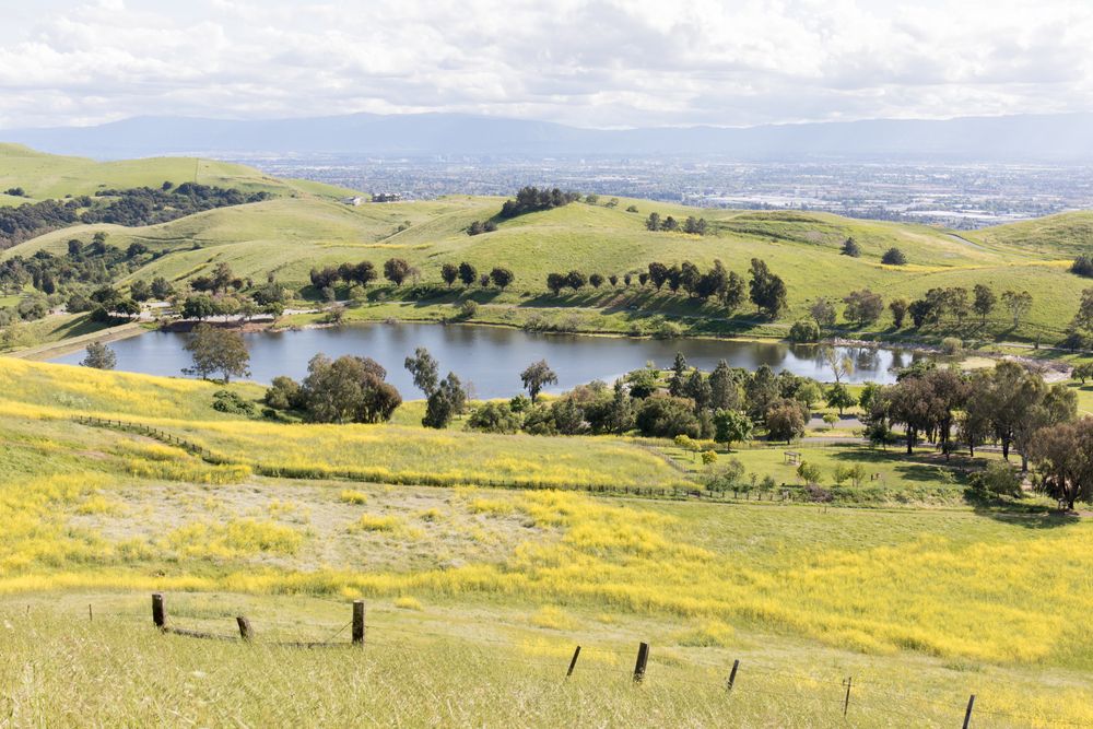 Landscape of Ed R. Levin County Park