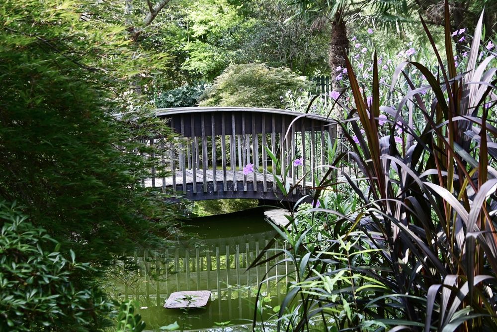 Wooden pedestrian bridge at Edisto Memorial Gardens