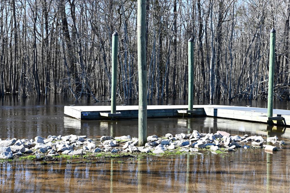 Boardwalk in Edisto River