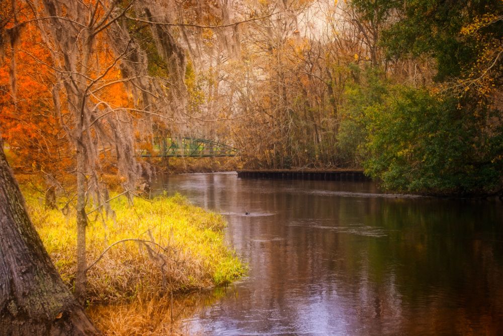 Picturesque view of the Edisto River during autumn