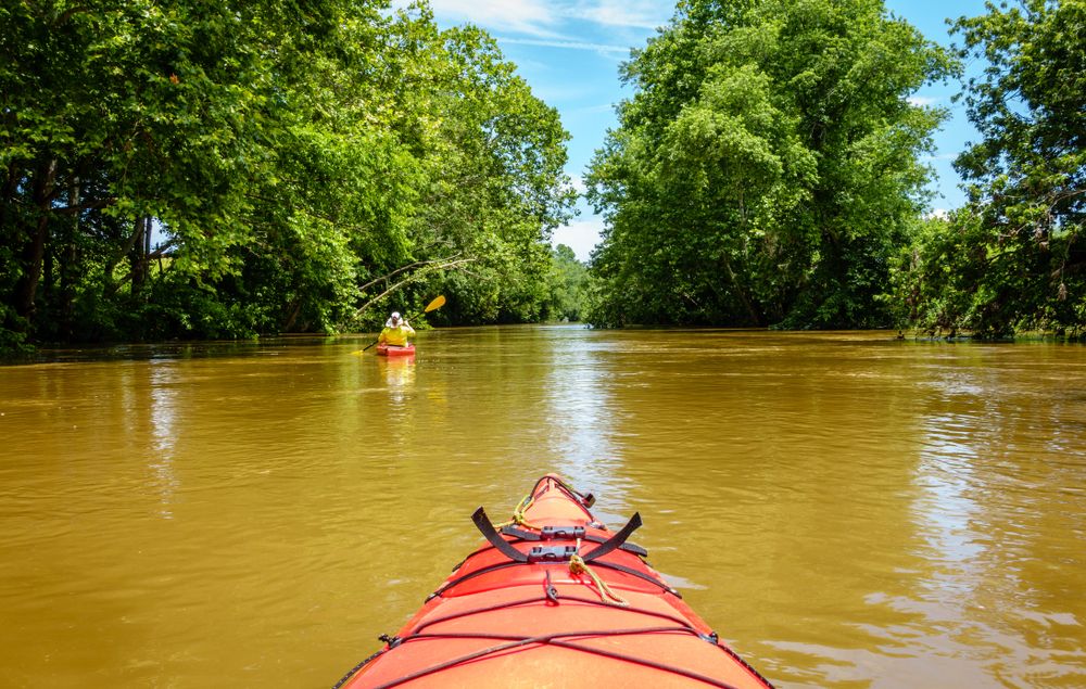 Kayaking in Elkhorn Creek