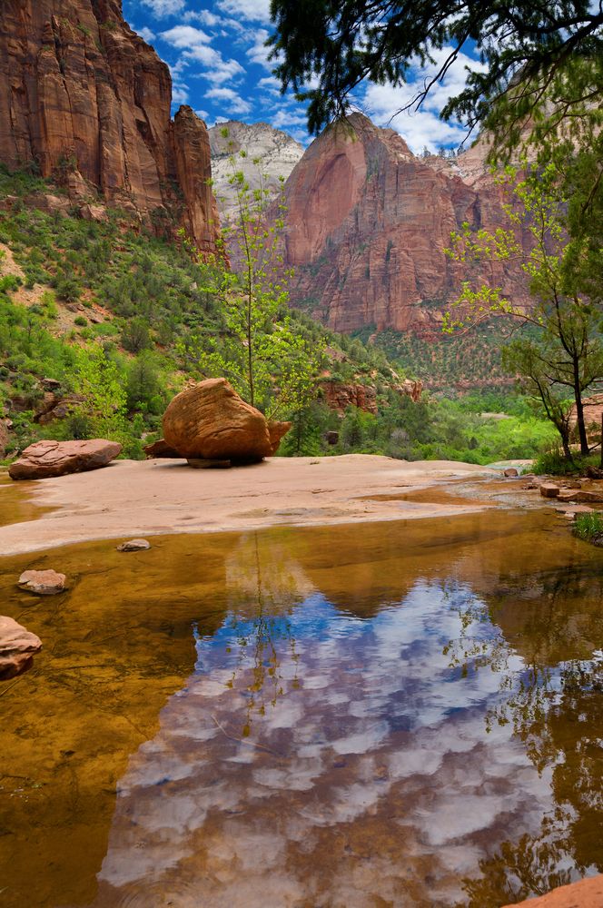 Emerald pools in Zion National Park